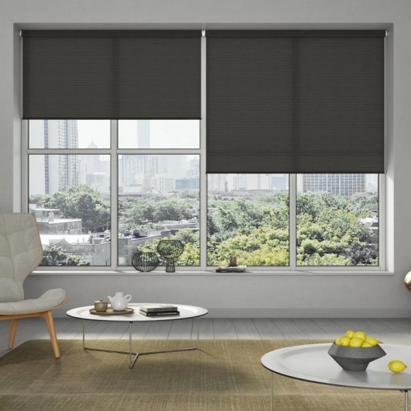 blinds for windows image
